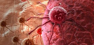 cancer cell