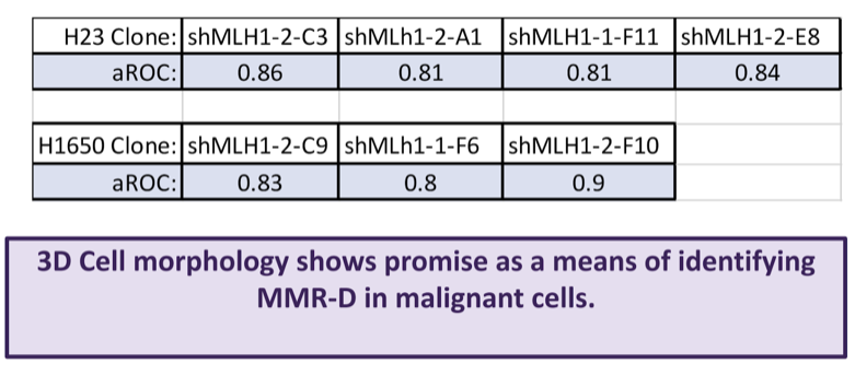 3D Cell morphology shows promise as a means of identifying MMR-D in malignant cells