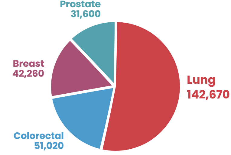 Visiongate Lung Cancer Awareness Mortality Chart